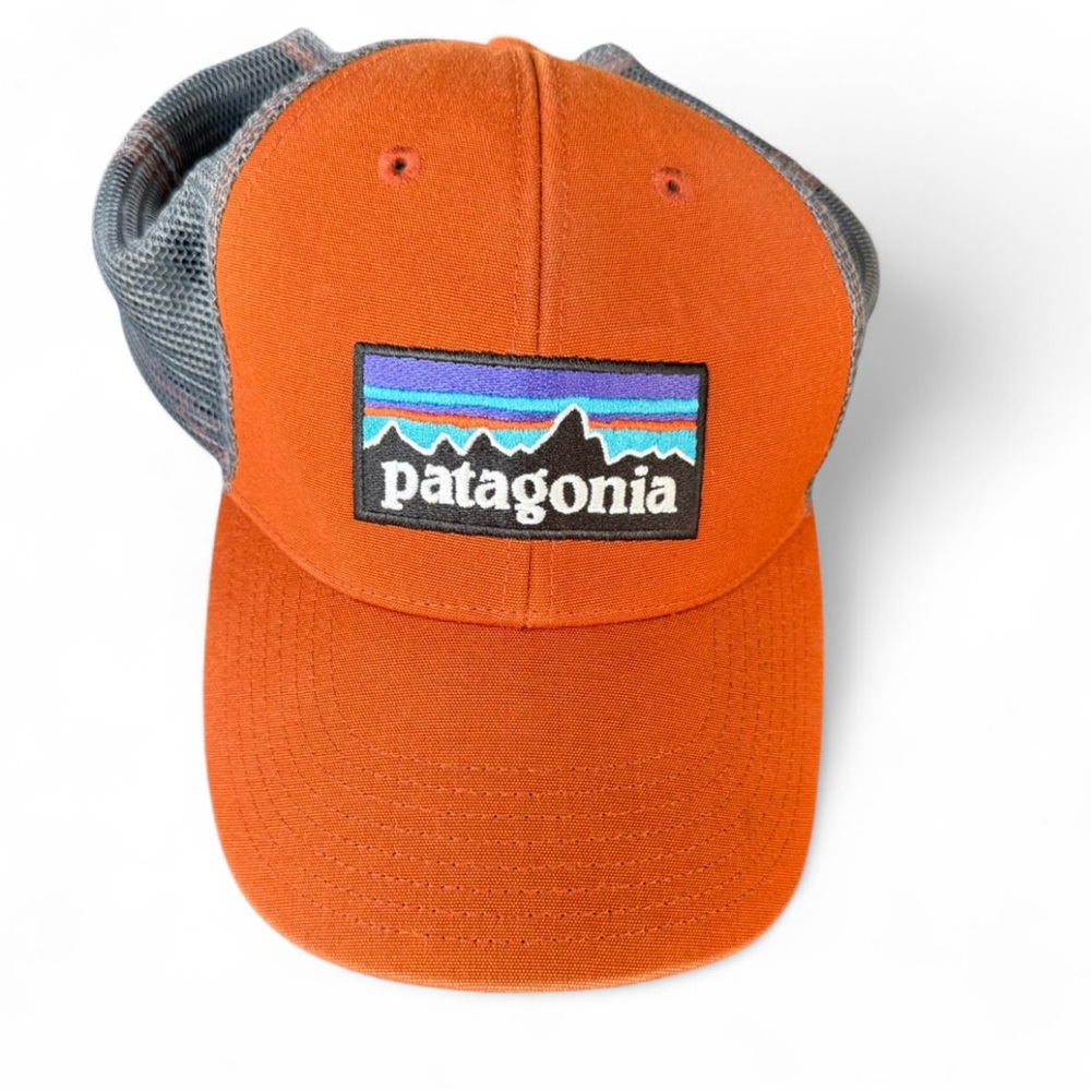 Patagonia Trucker Hat